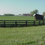 Treated Wood Horse Fencing