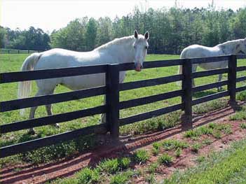 North Carolina Horse Corral Board Fence Sales Installation General Timber