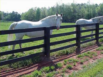 Horse Corral Fencing