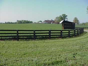 Horse Fence Styles